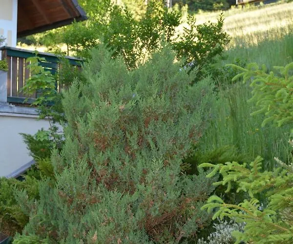 Kristina/hebalm בית נופש